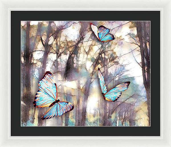 Butterflies Fly - Framed Print