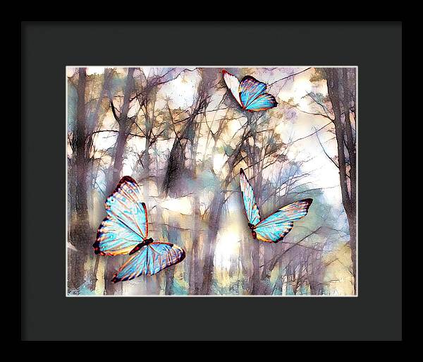 Butterflies Fly - Framed Print