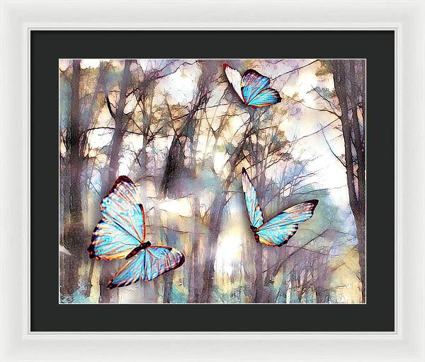 Butterflies Fly - Framed Print