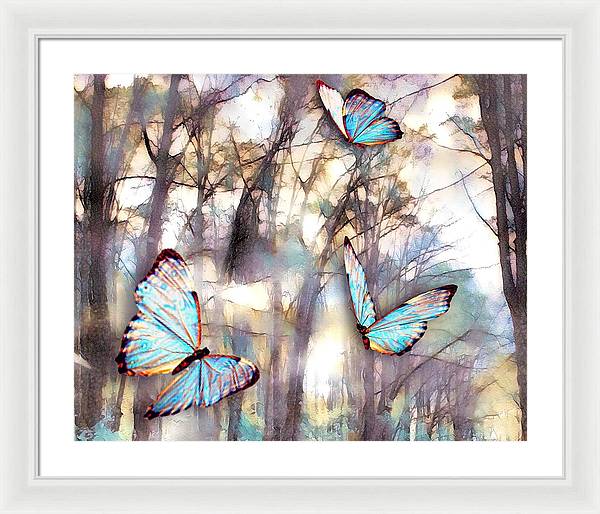 Butterflies Fly - Framed Print