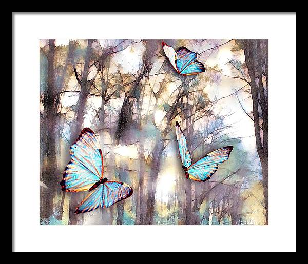 Butterflies Fly - Framed Print