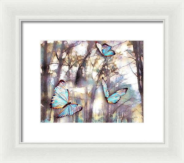 Butterflies Fly - Framed Print