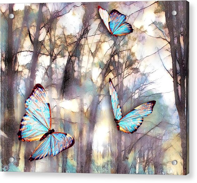 Butterflies Fly - Acrylic Print