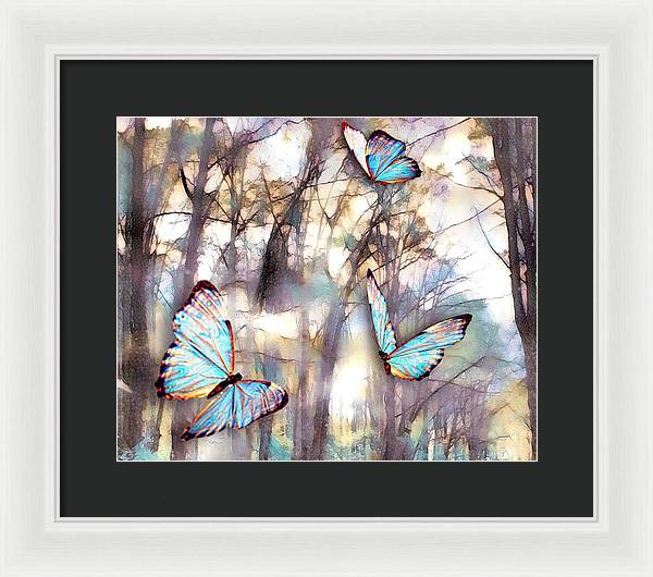 Butterflies Fly - Framed Print