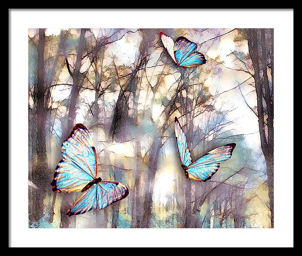 Butterflies Fly - Framed Print