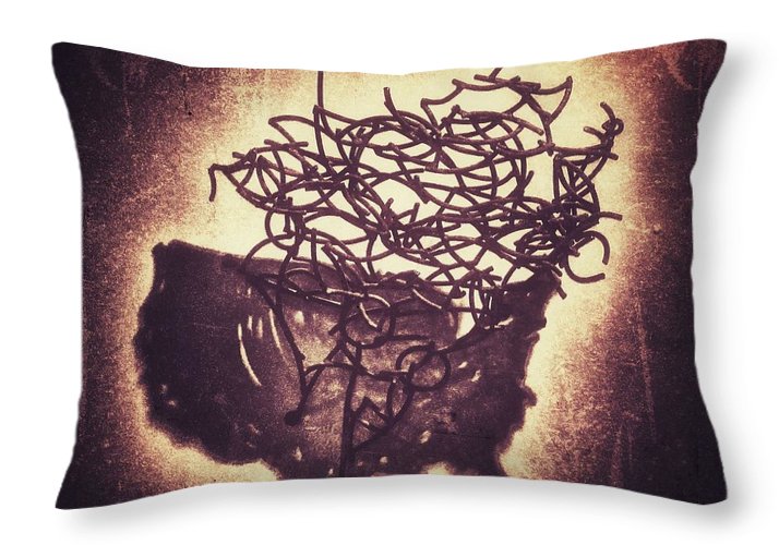 Chaos in the US - Throw Pillow