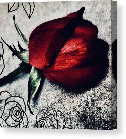 Coming Up Roses - Canvas Print