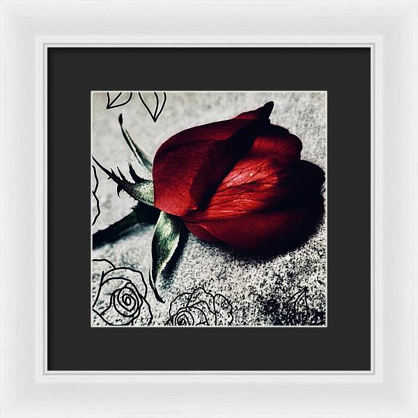 Coming Up Roses - Framed Print