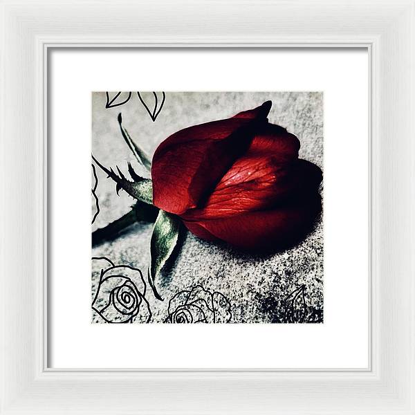 Coming Up Roses - Framed Print