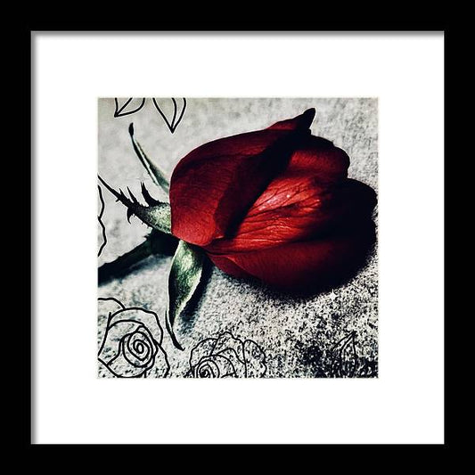 Coming Up Roses - Framed Print