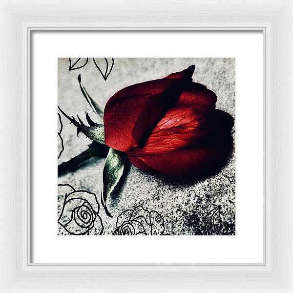 Coming Up Roses - Framed Print