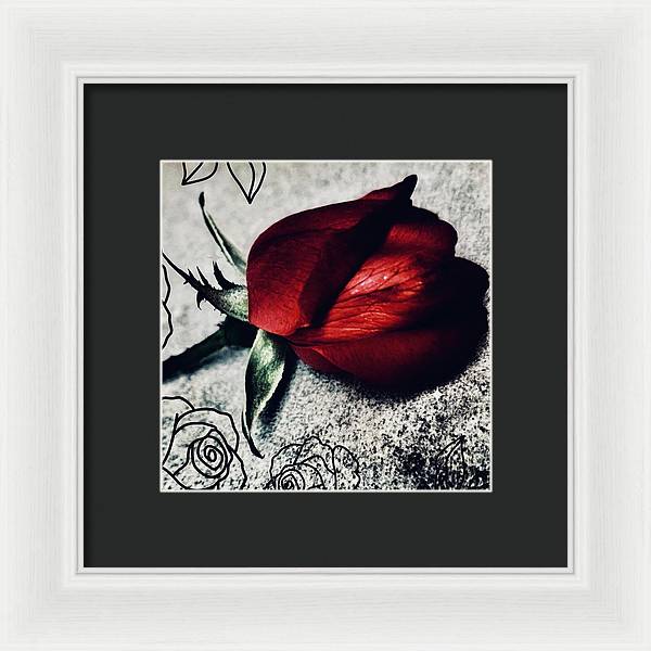 Coming Up Roses - Framed Print