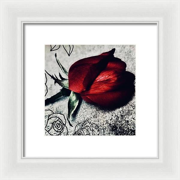 Coming Up Roses - Framed Print