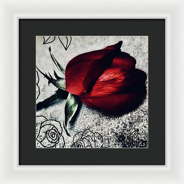 Coming Up Roses - Framed Print