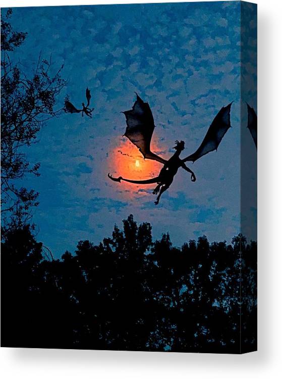 Dragon Night - Canvas Print