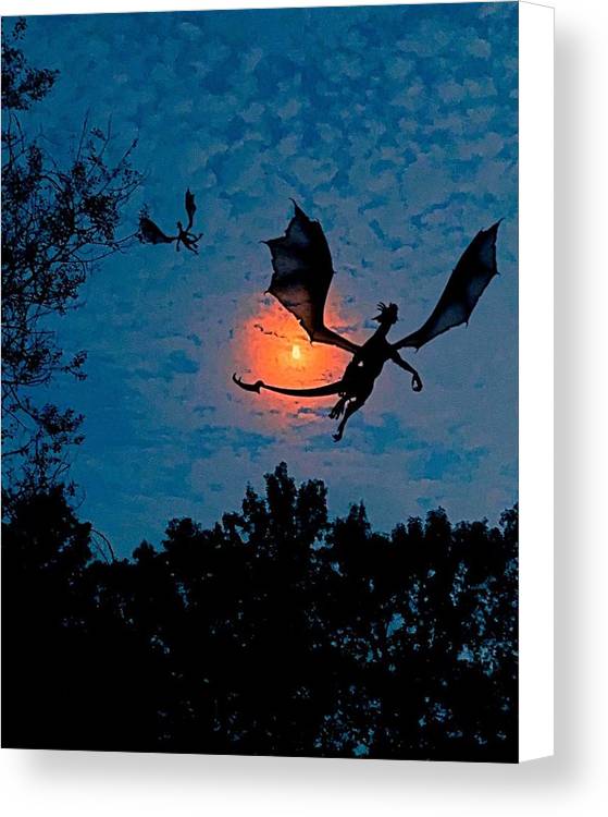 Dragon Night - Canvas Print