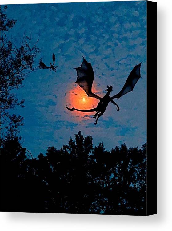 Dragon Night - Canvas Print