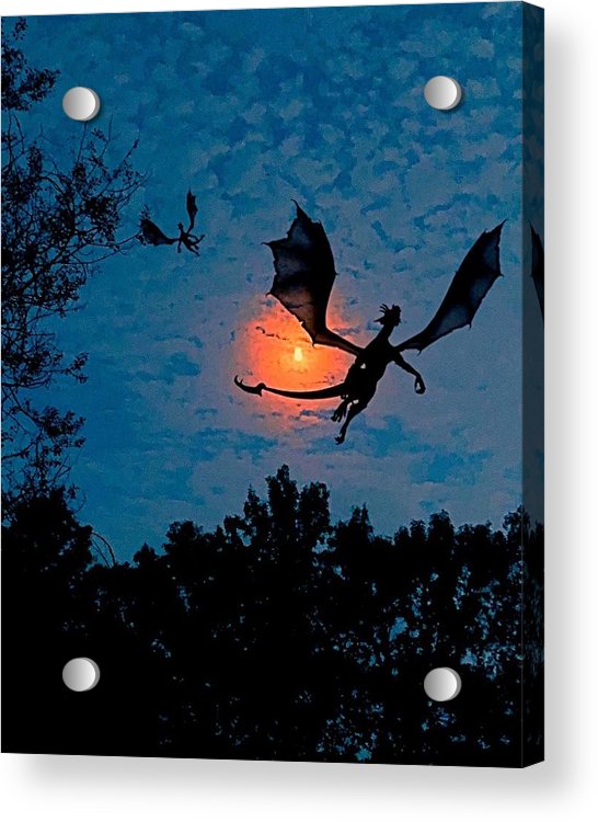 Dragon Night - Acrylic Print