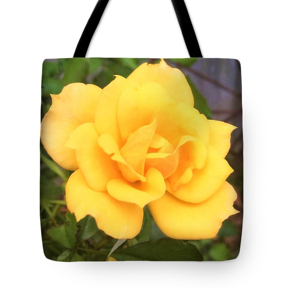 Eldon's Rose - Tote Bag