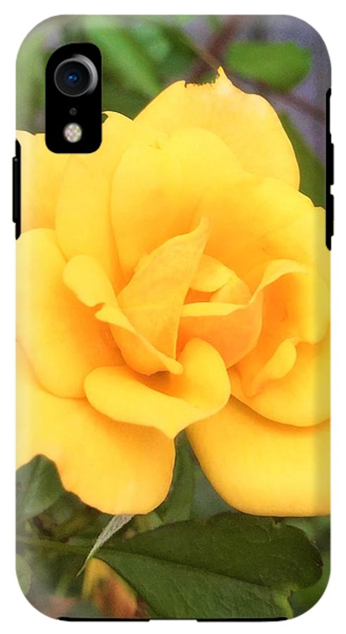 Eldon's Rose - Phone Case