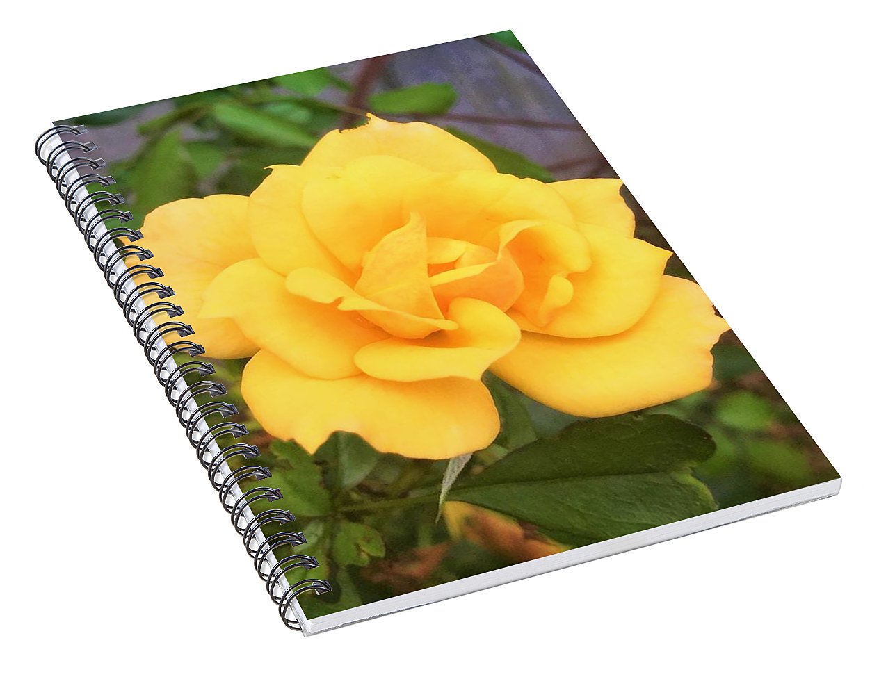 Eldon's Rose - Spiral Notebook