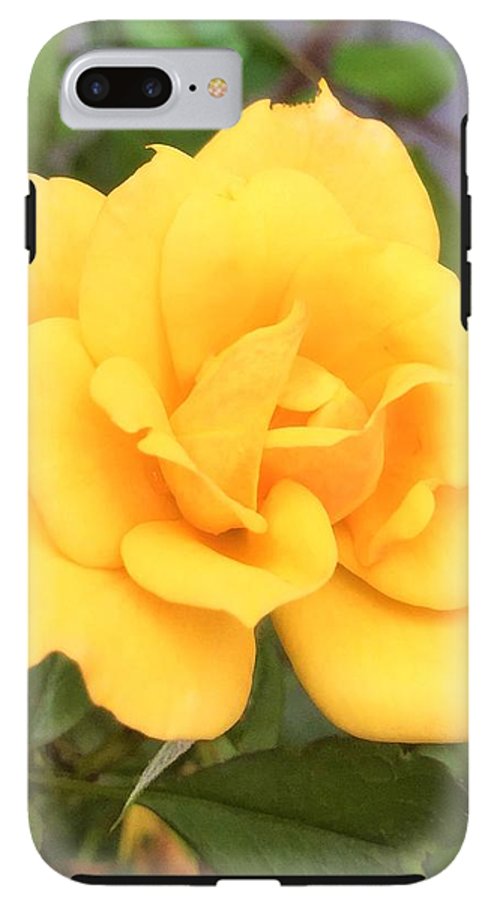 Eldon's Rose - Phone Case