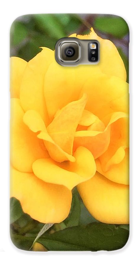 Eldon's Rose - Phone Case