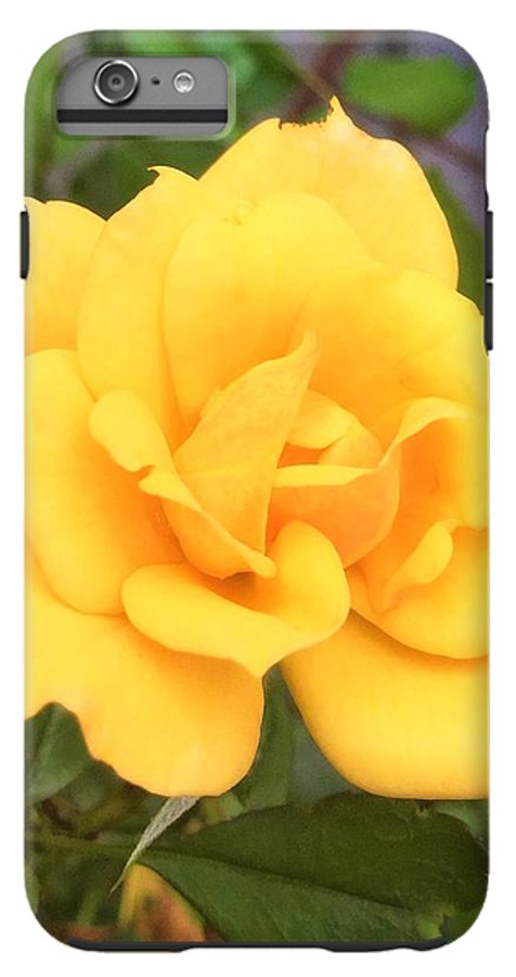 Eldon's Rose - Phone Case