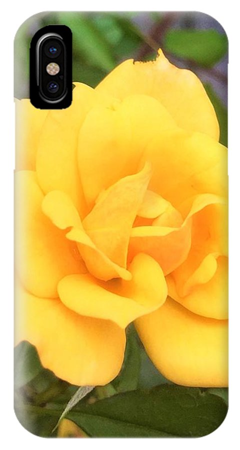 Eldon's Rose - Phone Case