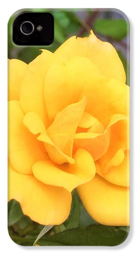 Eldon's Rose - Phone Case