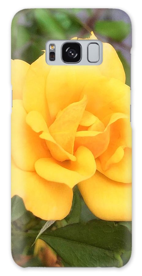 Eldon's Rose - Phone Case