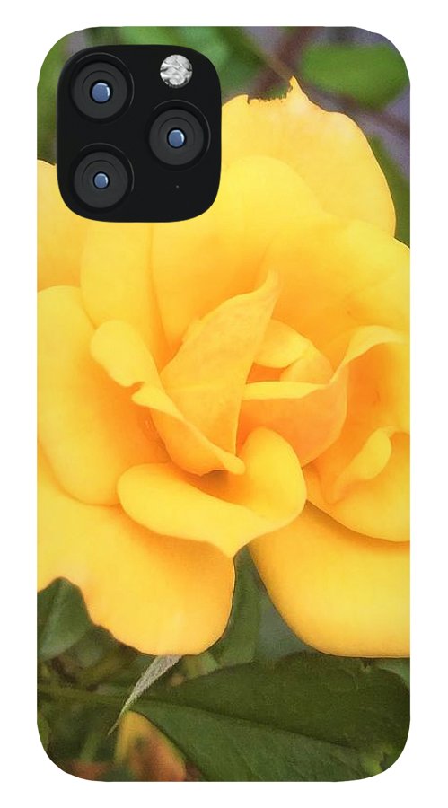 Eldon's Rose - Phone Case