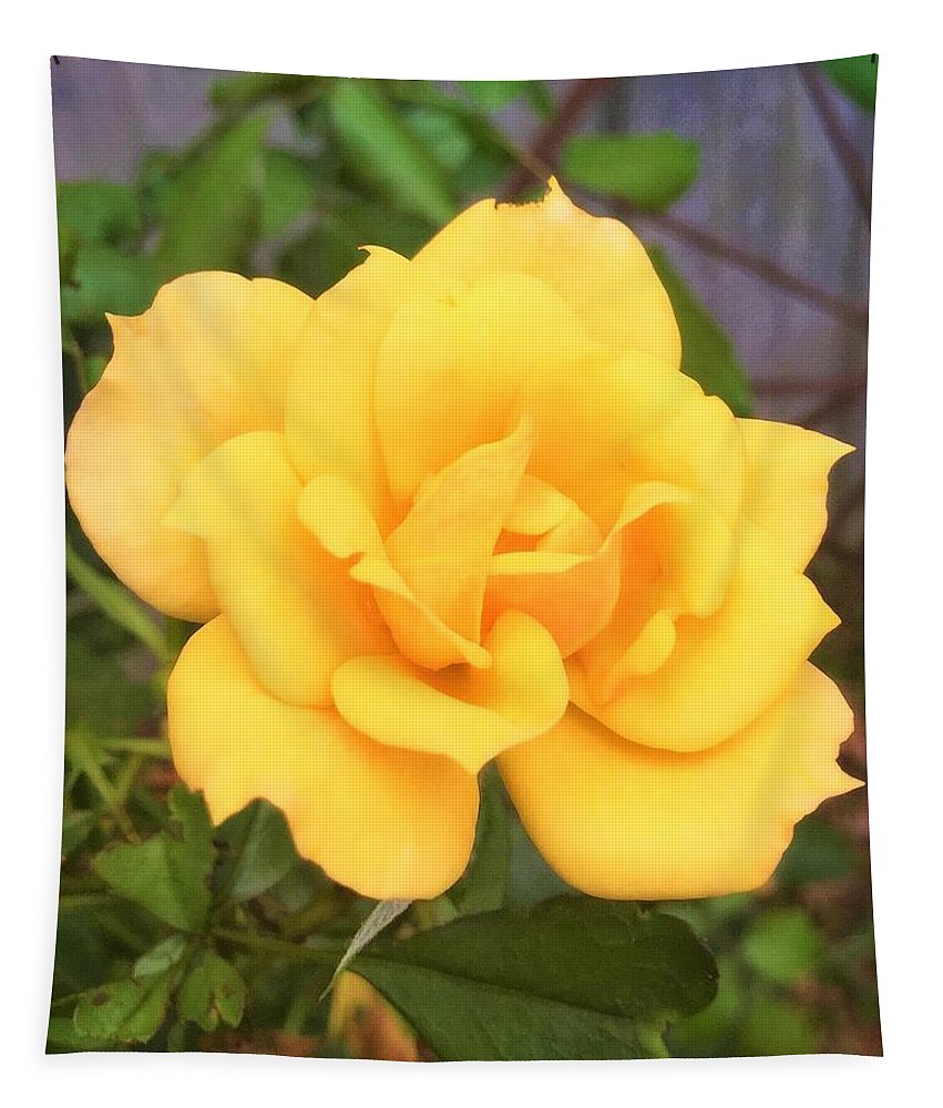 Eldon's Rose - Tapestry