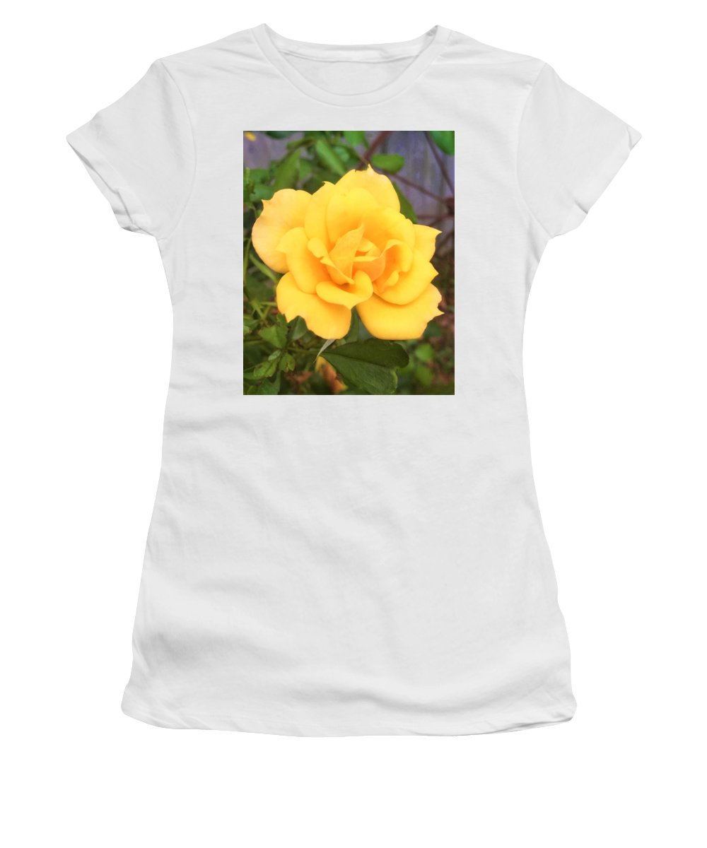 Eldon's Rose - Women's T-Shirt