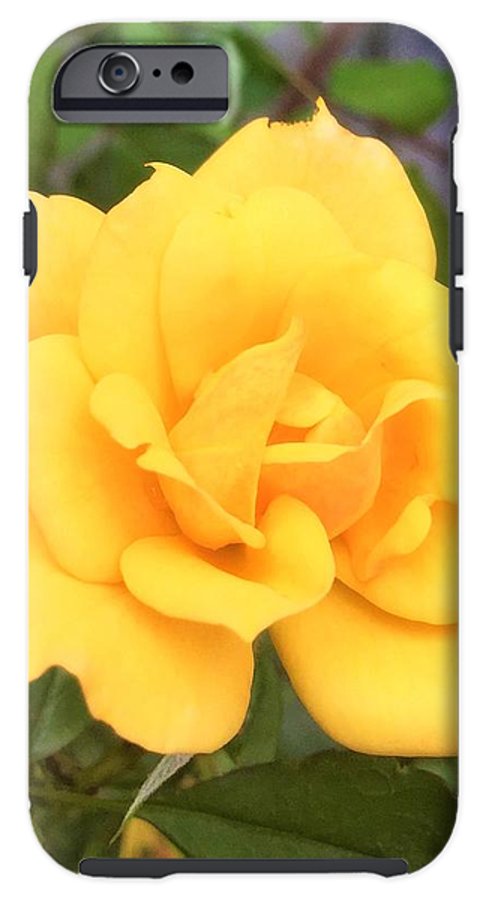 Eldon's Rose - Phone Case