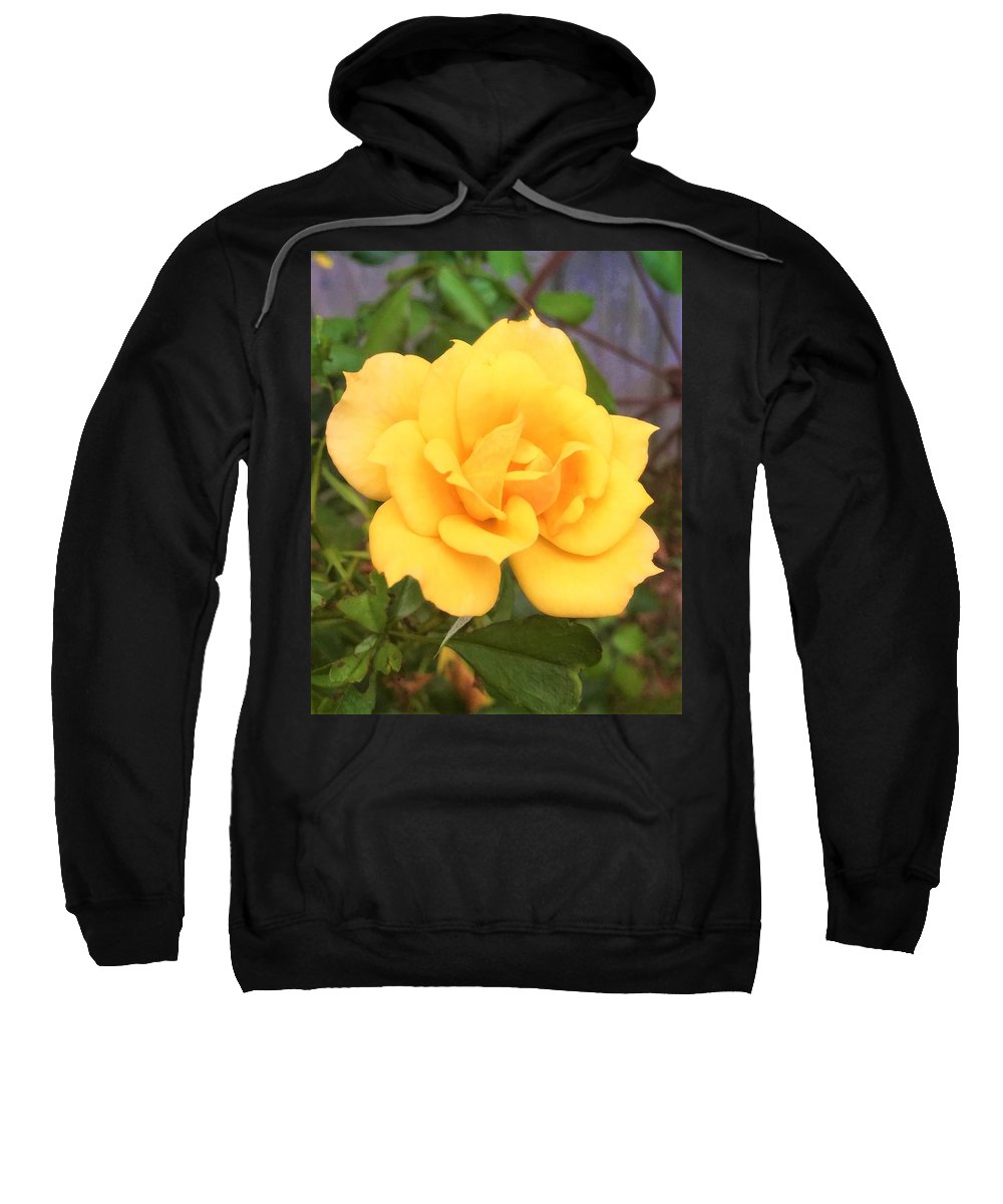 Eldon's Rose - Sweatshirt