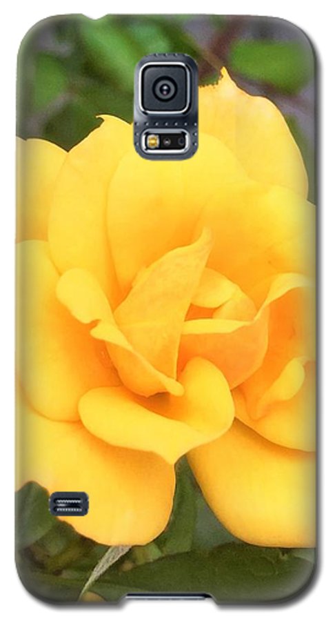 Eldon's Rose - Phone Case