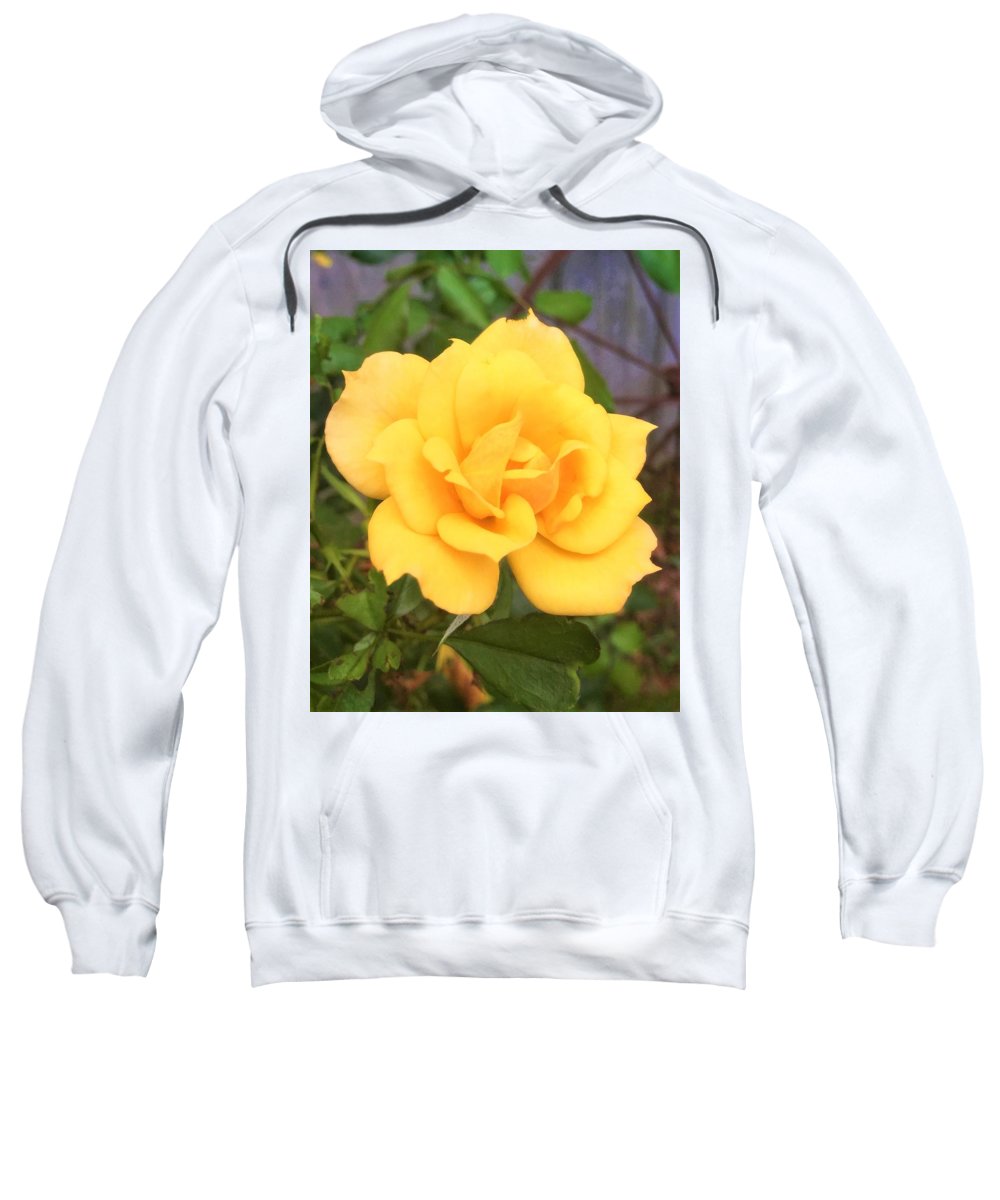 Eldon's Rose - Sweatshirt