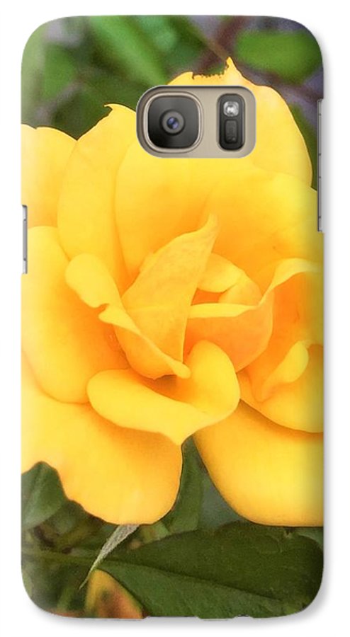 Eldon's Rose - Phone Case