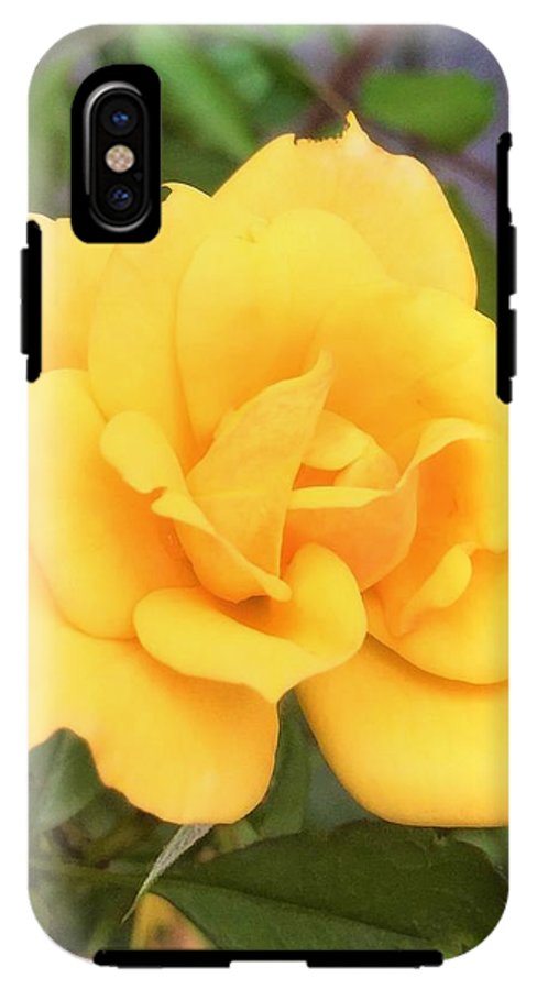 Eldon's Rose - Phone Case