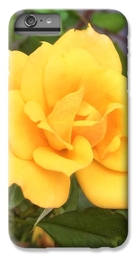 Eldon's Rose - Phone Case