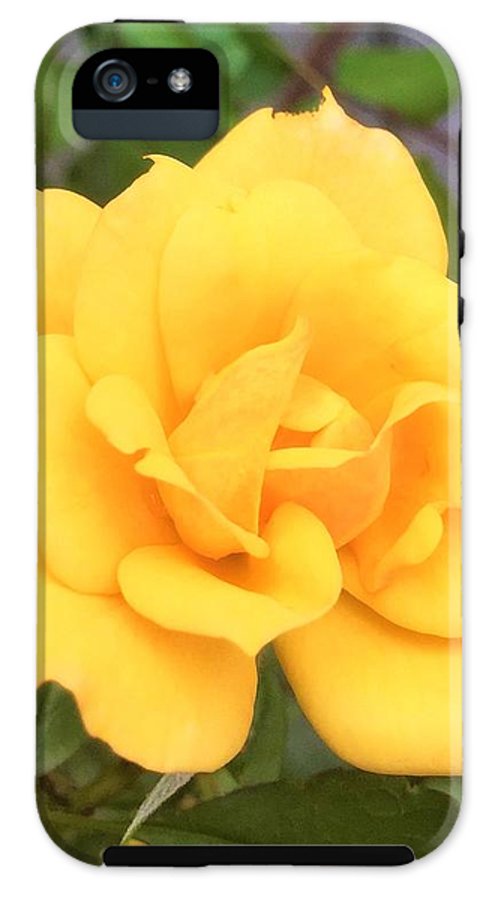 Eldon's Rose - Phone Case