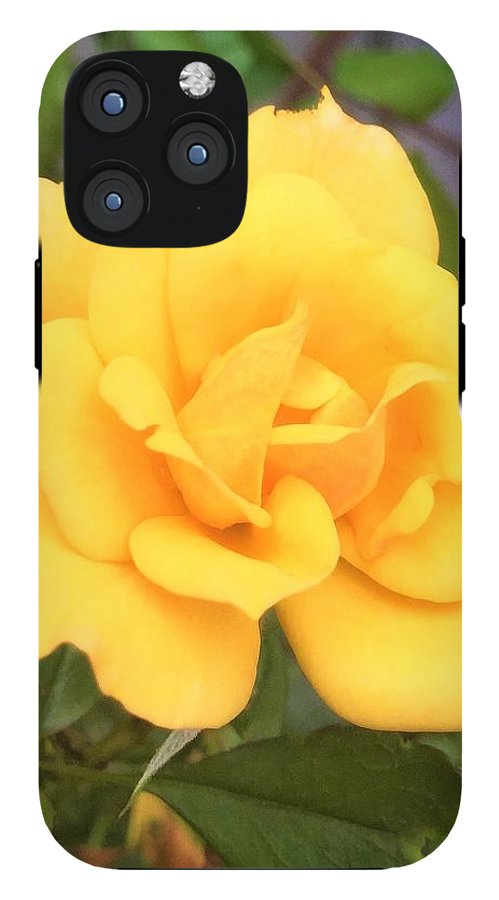 Eldon's Rose - Phone Case