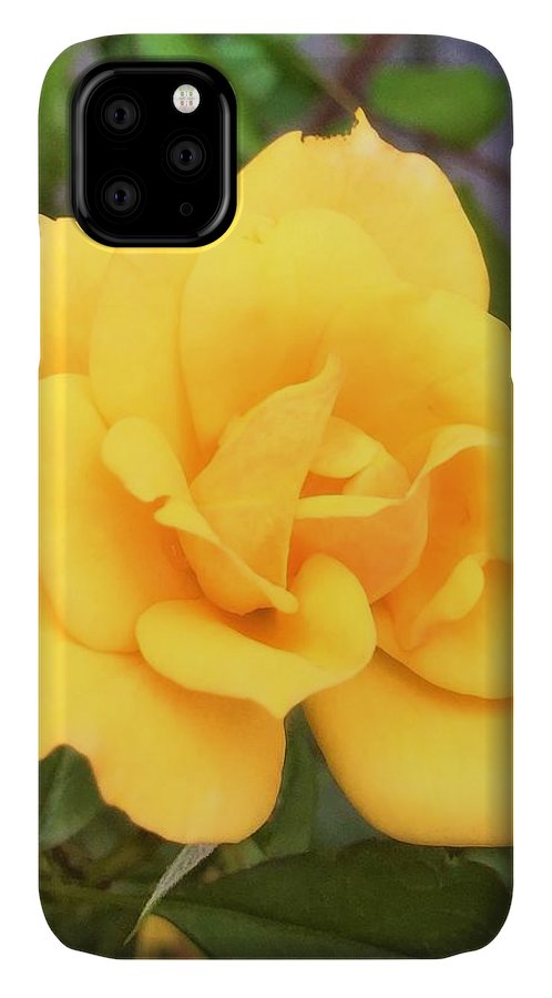 Eldon's Rose - Phone Case