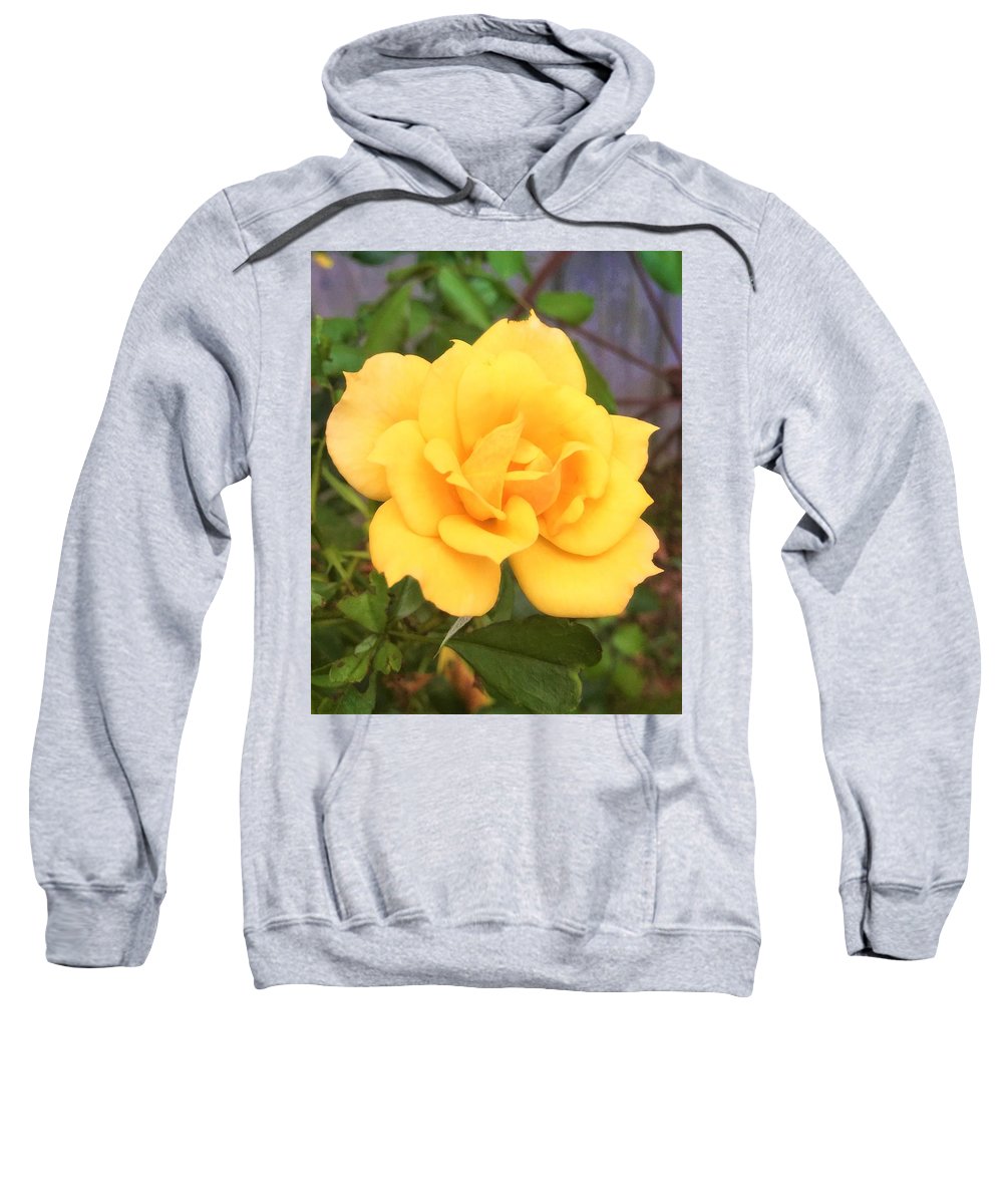 Eldon's Rose - Sweatshirt