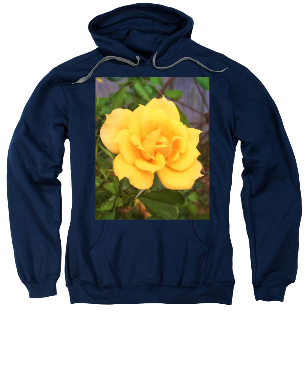 Eldon's Rose - Sweatshirt