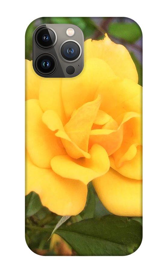 Eldon's Rose - Phone Case