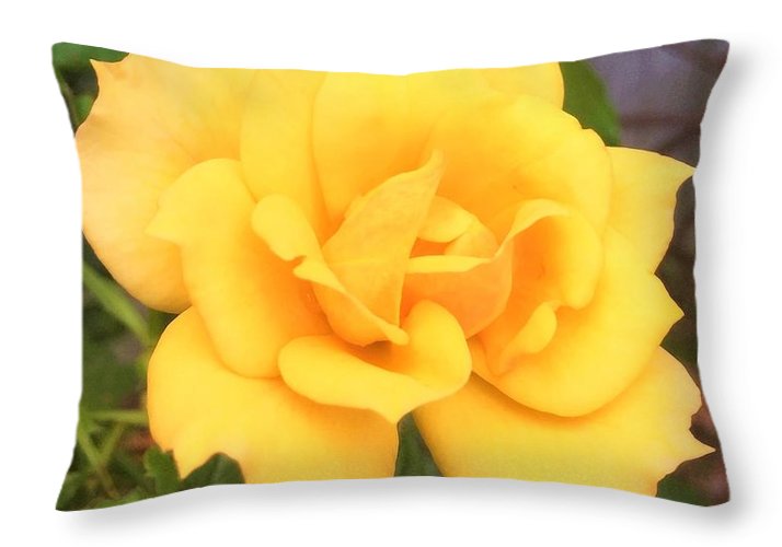 Eldon's Rose - Throw Pillow