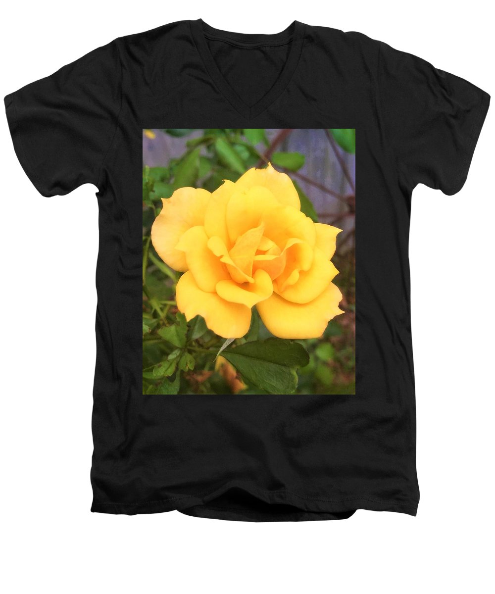 Eldon's Rose - Men's V-Neck T-Shirt