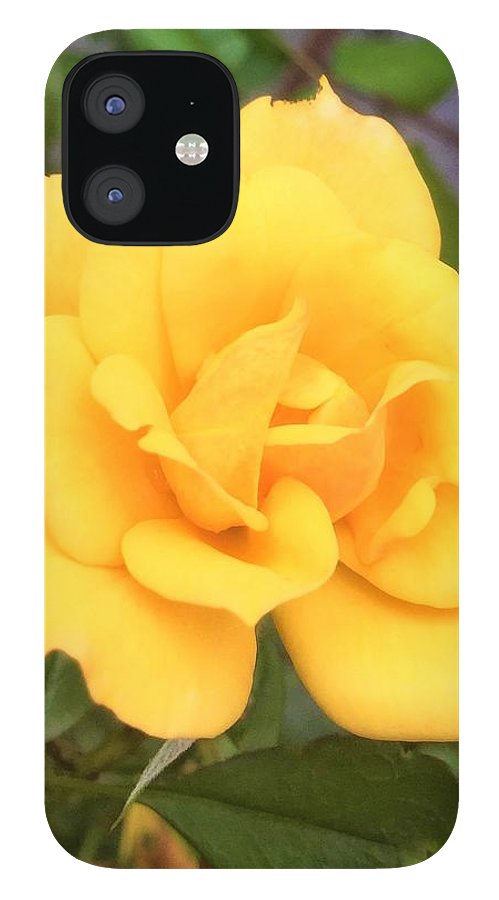 Eldon's Rose - Phone Case